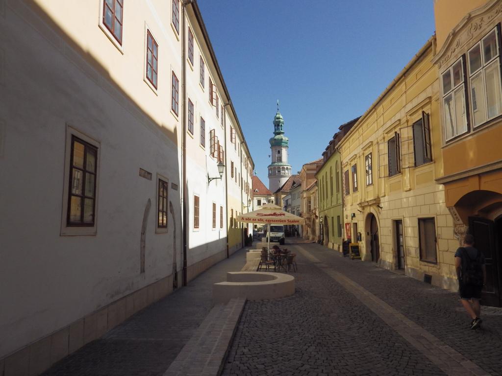 Belvarosi Erdesz-Lak Sopron Apartment Exterior photo